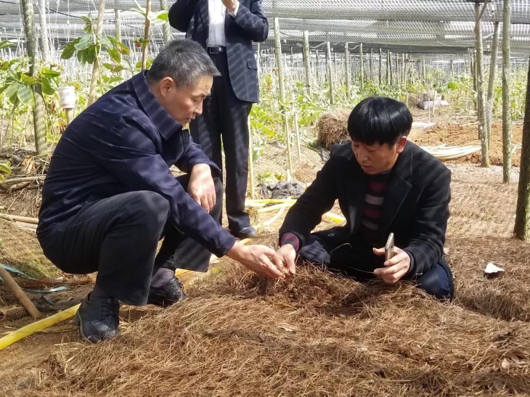 88体育 - 美加墨最新赛事资讯-现场直播