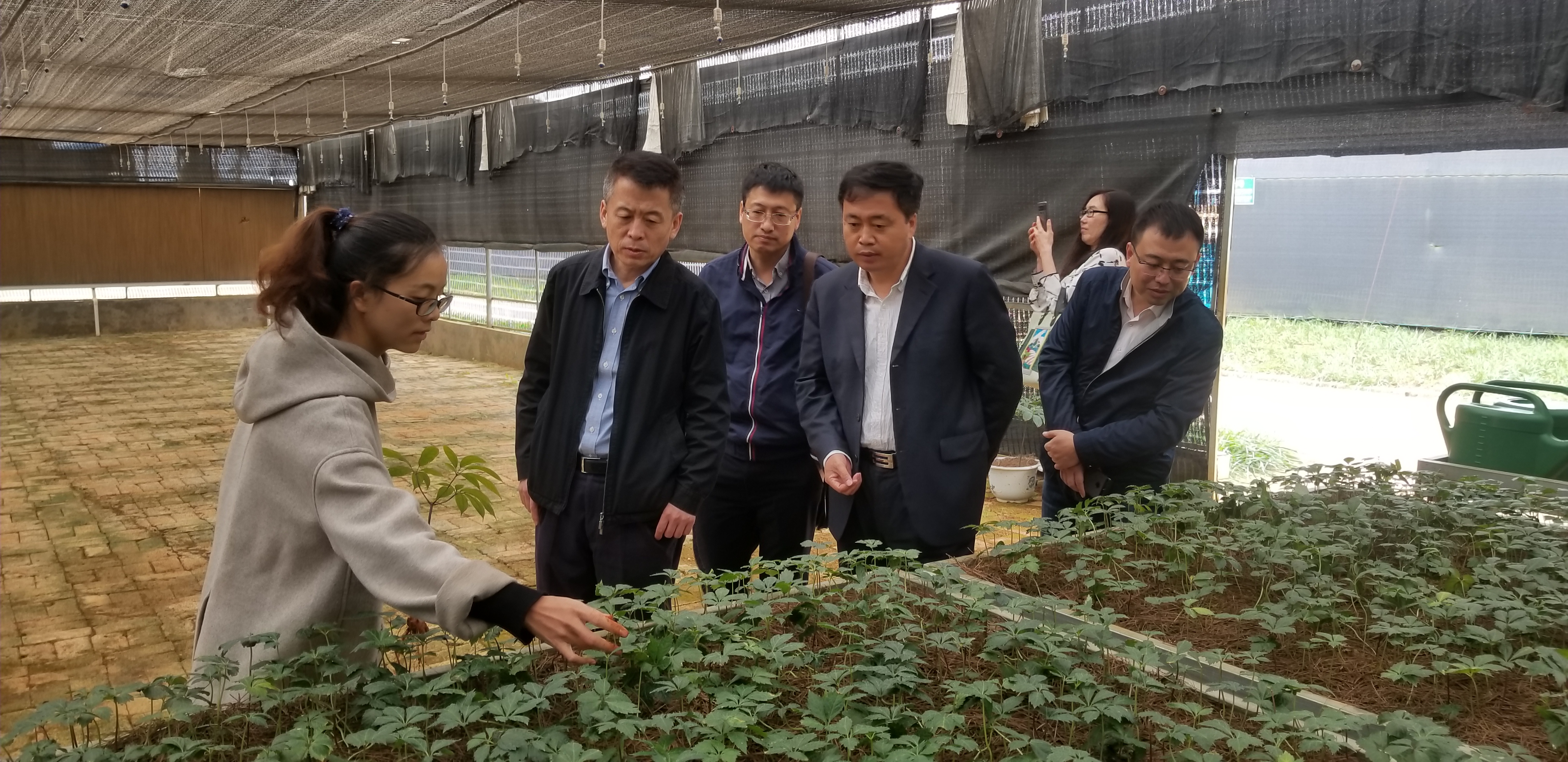 88体育 - 美加墨最新赛事资讯-现场直播