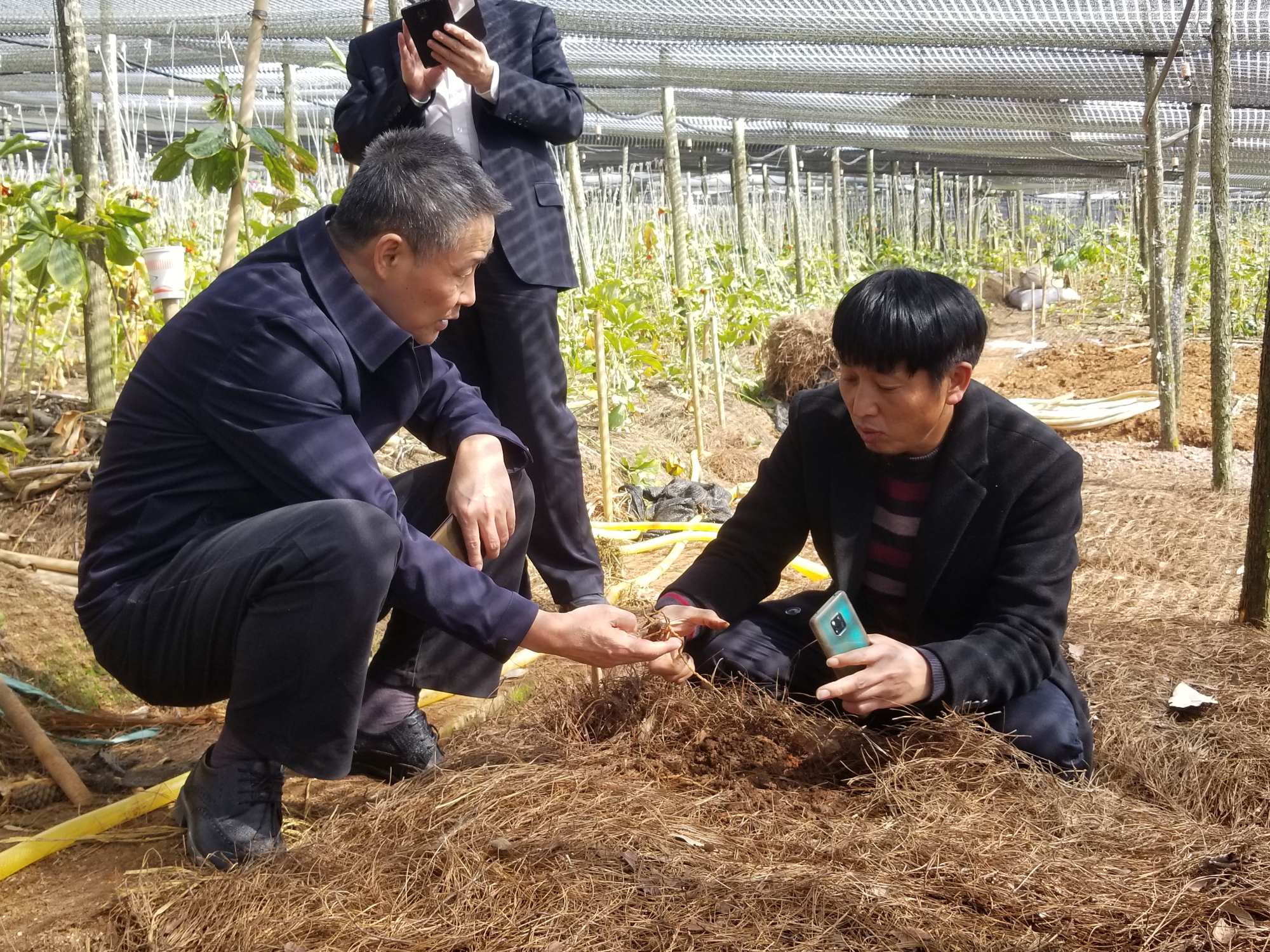 88体育 - 美加墨最新赛事资讯-现场直播