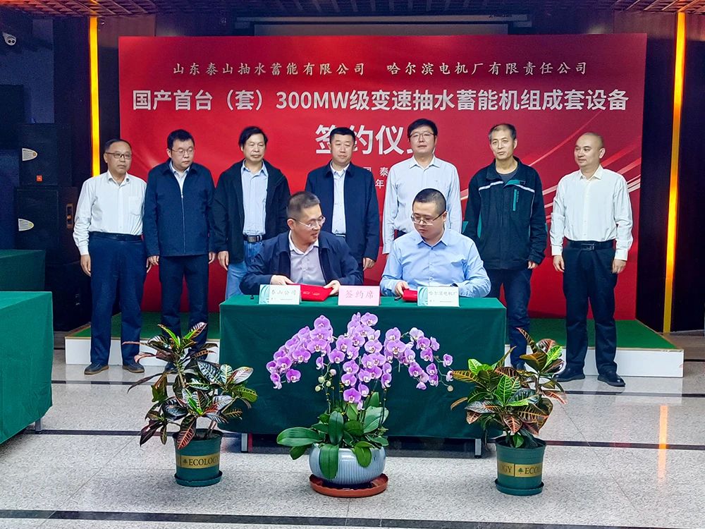 88体育 - 美加墨最新赛事资讯-现场直播